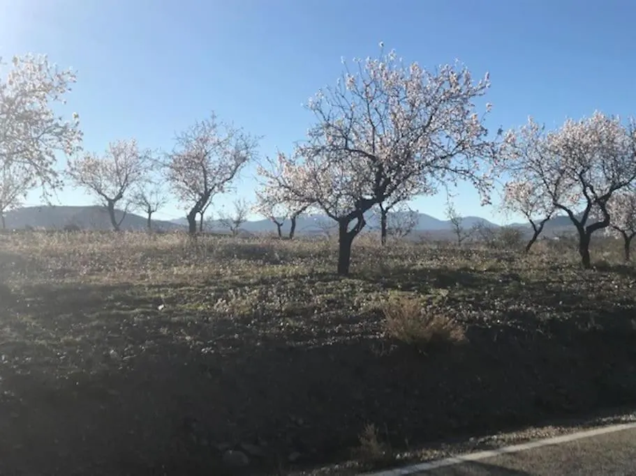 Cortijo Calma - Countryside Peace & Tranquility Apartment Oria