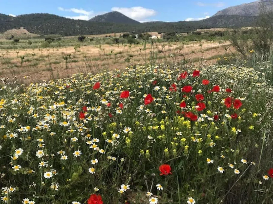 Cortijo Calma - Countryside Peace & Tranquility Apartment Oria 0*,