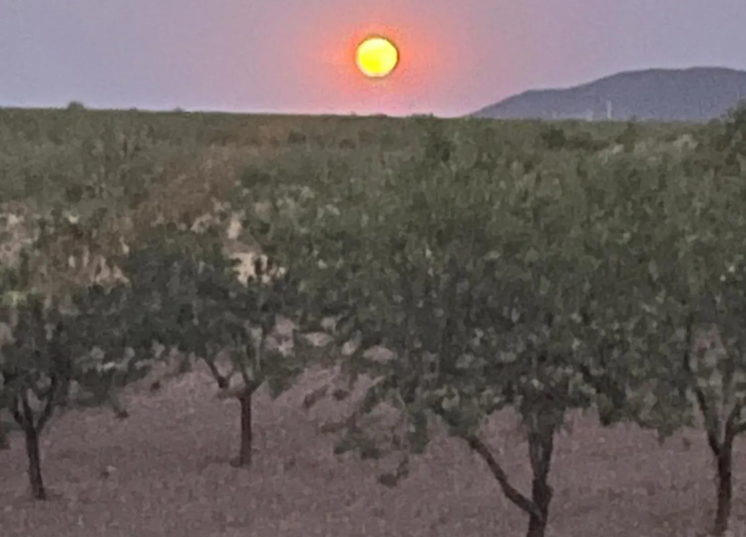 Cortijo Calma - Countryside Peace & Tranquility Apartment Oria Spain